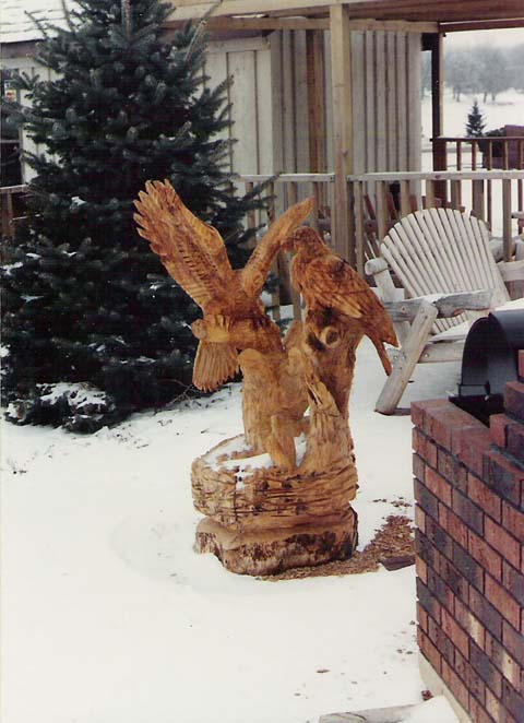 Eagles and Nest